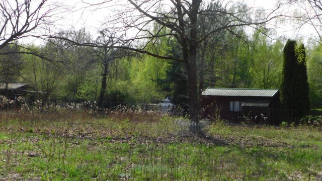 Działka budowlana Chojnów, ul. Graniczka. Zdjęcie 5