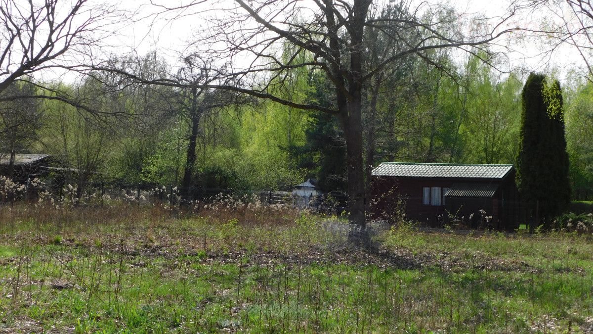 Działka budowlana Chojnów, ul. Graniczka. Zdjęcie 5