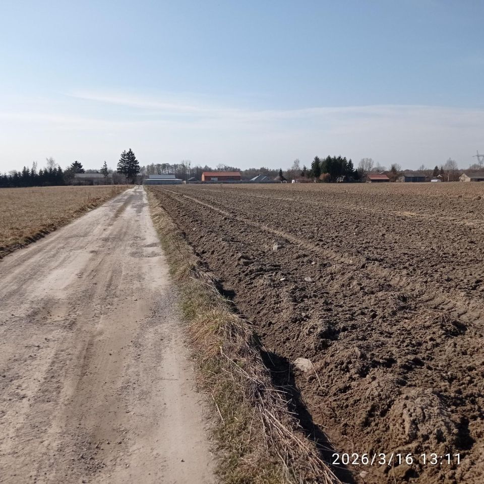 Działka budowlana Pająków. Zdjęcie 6