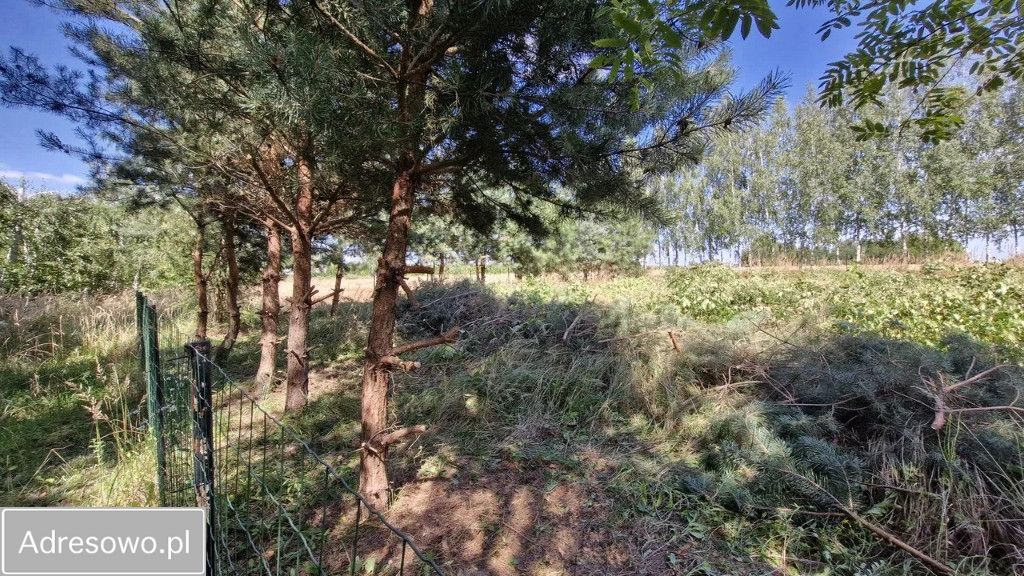 Działka budowlana Długie. Zdjęcie 4