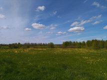 Działka rekreacyjna Raj. Zdjęcie 4