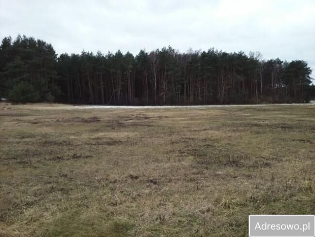 Działka budowlana Murzynowo. Zdjęcie 1