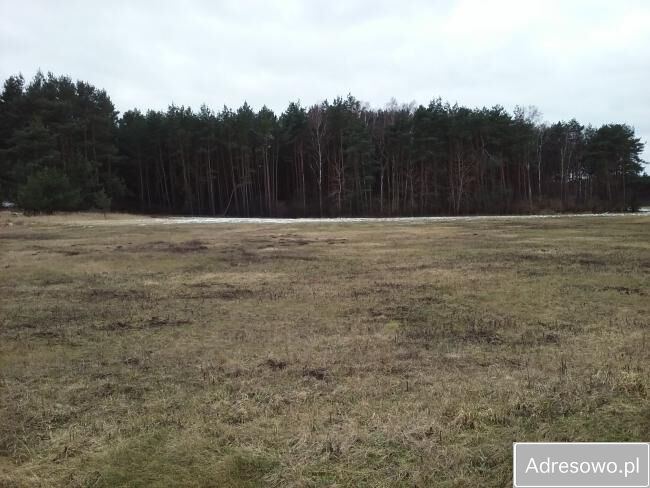 Działka budowlana Murzynowo. Zdjęcie 1