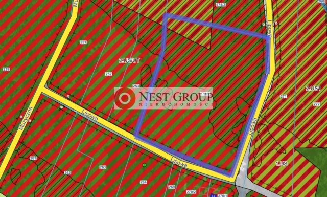 Działka inwestycyjna Skierdy, ul. Lipowa. Zdjęcie 6