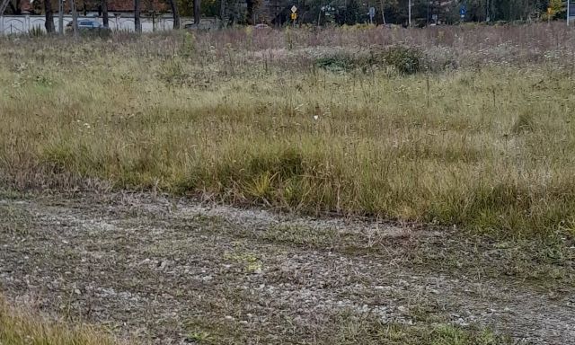 Działka budowlana Opypy, ul. Mazowiecka. Zdjęcie 1