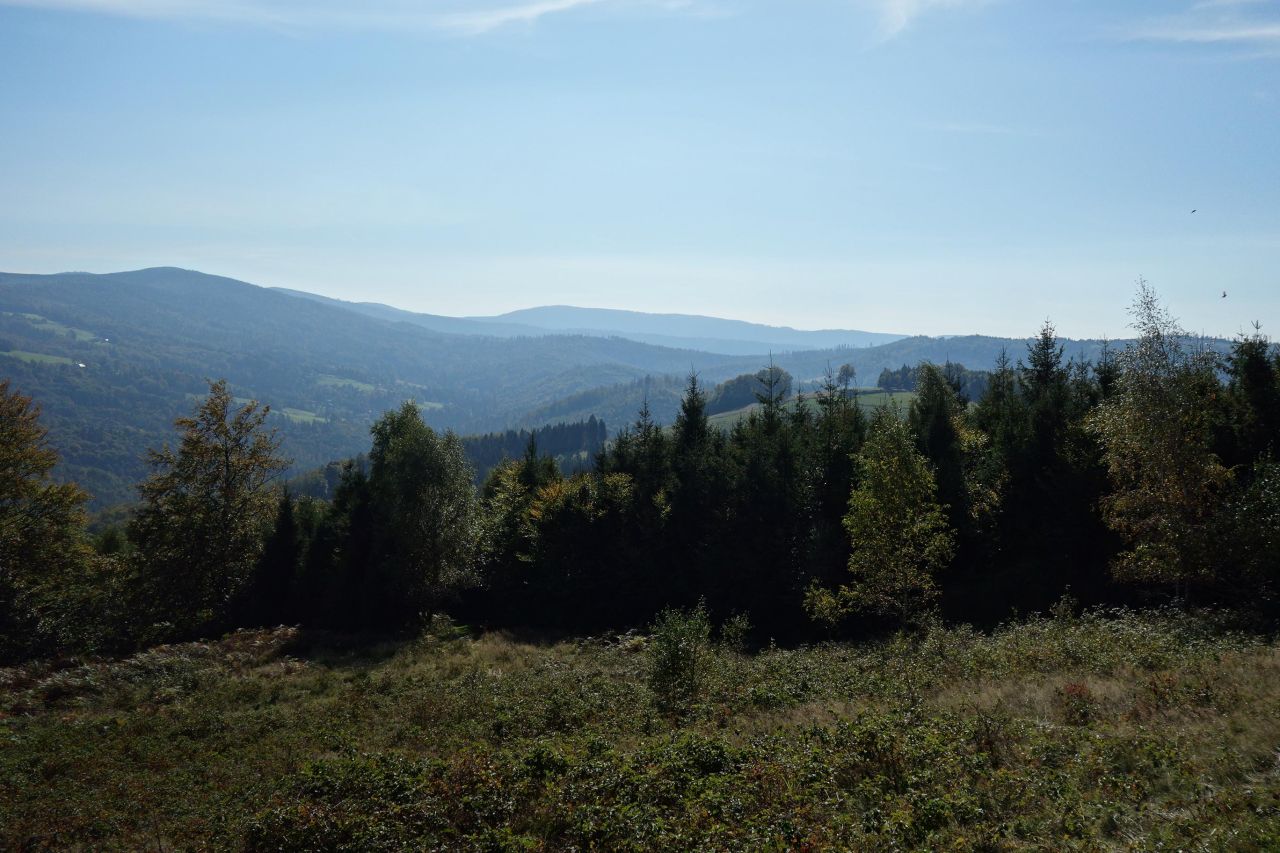 Działka inwestycyjna Brenna Leśnica, ul. Orłowa. Zdjęcie 8