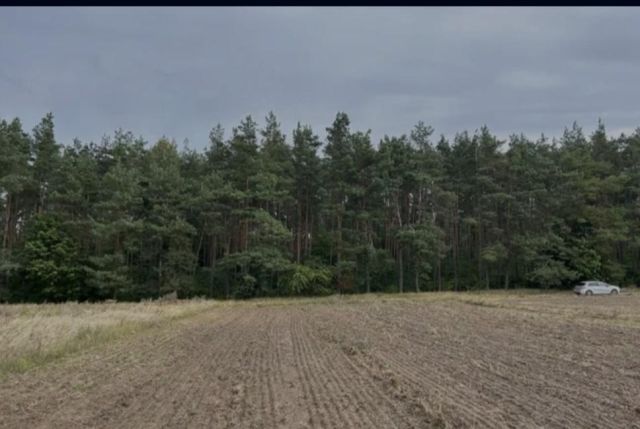 Działka budowlana Rychnowy. Zdjęcie 1