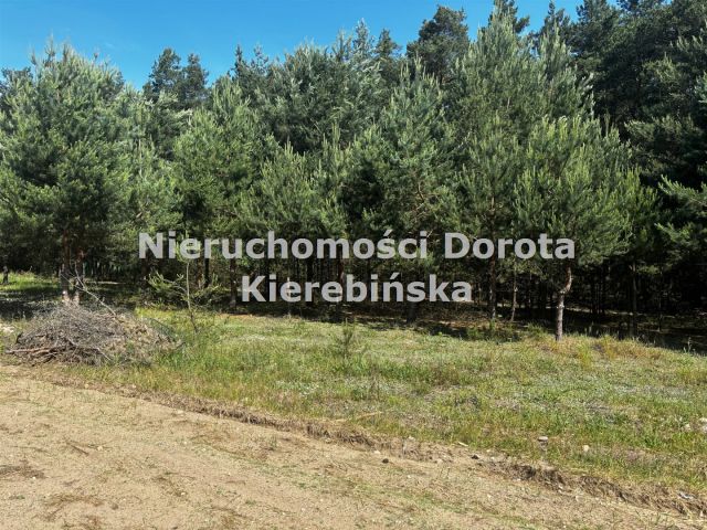 Działka rolna Stefanów. Zdjęcie 3