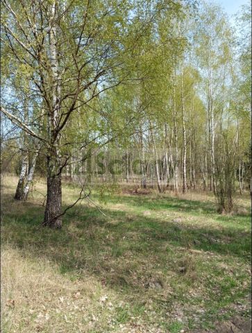 Działka budowlana Jasienica. Zdjęcie 17