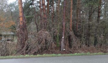 Działka leśna Radków