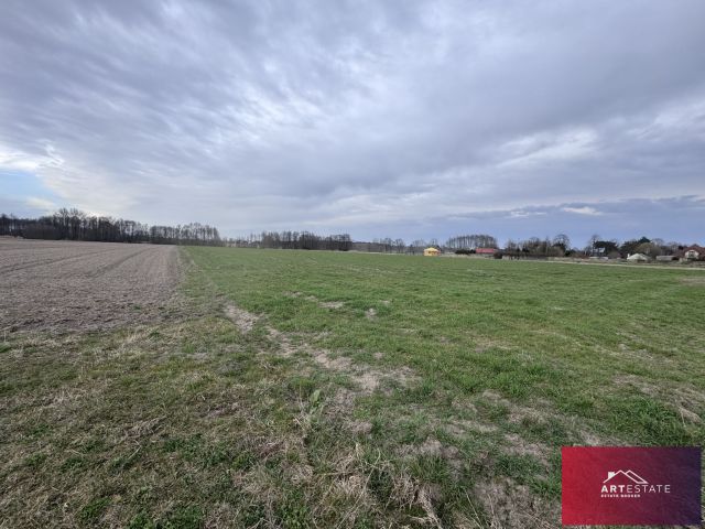 Działka budowlana Bełdów. Zdjęcie 8