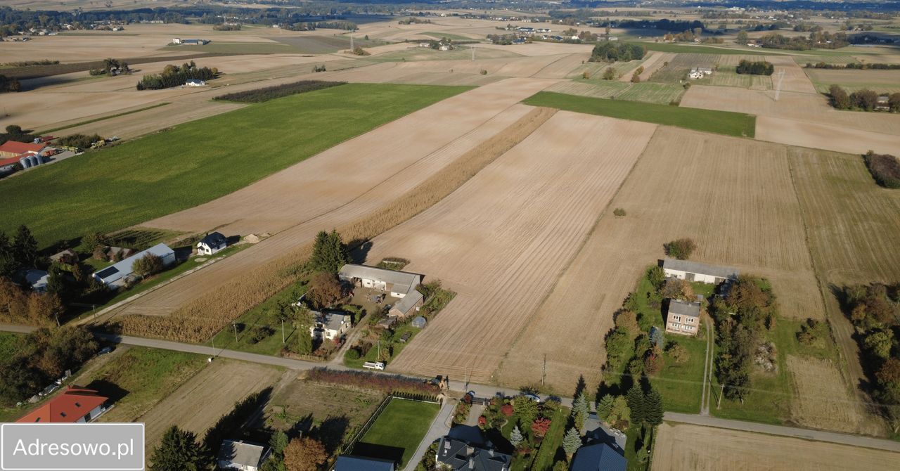 Działka rolno-budowlana Tomaszowice. Zdjęcie 7