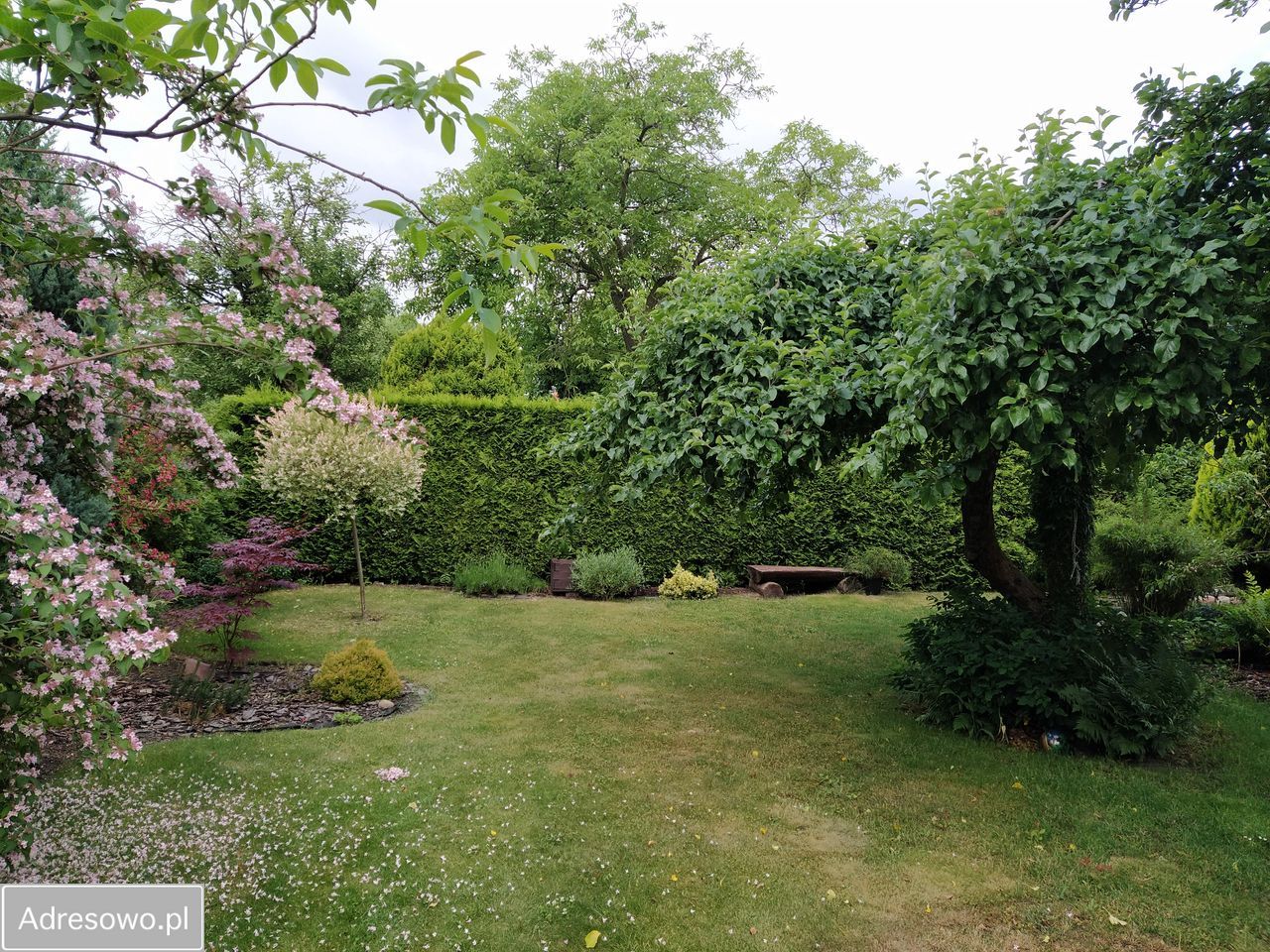 Mieszkanie 3-pokojowe Wrocław Śródmieście, ul. Piotra Wysockiego. Zdjęcie 15