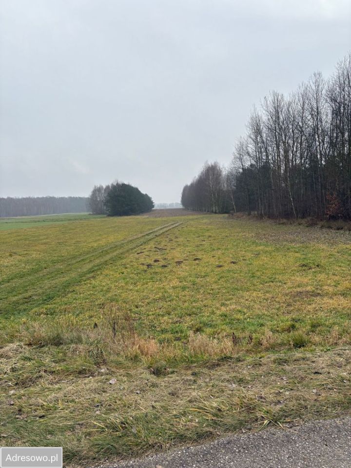 Działka rolna Jędrzejów Nowy. Zdjęcie 1