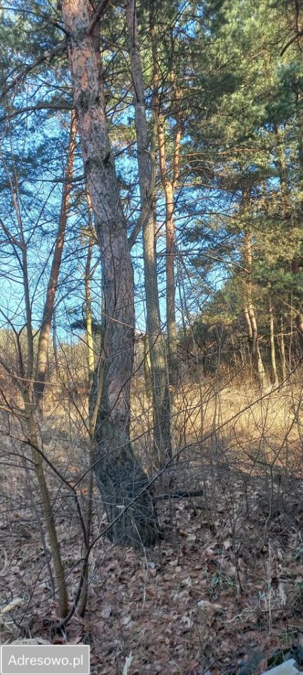 Działka budowlana Trzebinia, os. Gaj. Zdjęcie 2