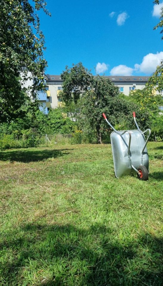 Działka rod Wrocław Śródmieście, ul. Mikołaja Reja. Zdjęcie 3