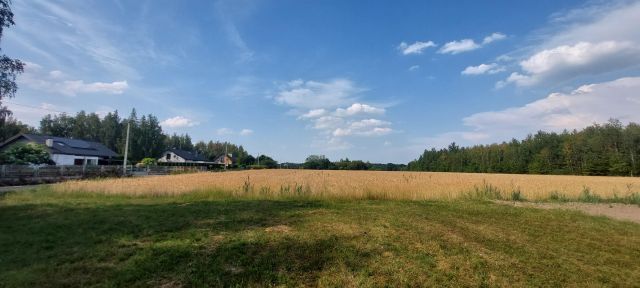 Działka budowlana Młodocin Większy. Zdjęcie 1