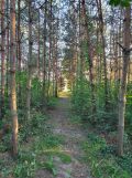 Działka rolno-budowlana Gospodarz, Gospodarz. Zdjęcie 4