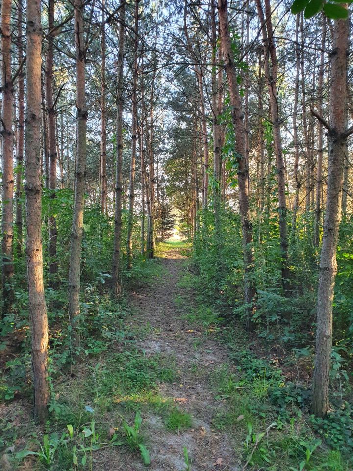 Działka rolno-budowlana Gospodarz, Gospodarz. Zdjęcie 5