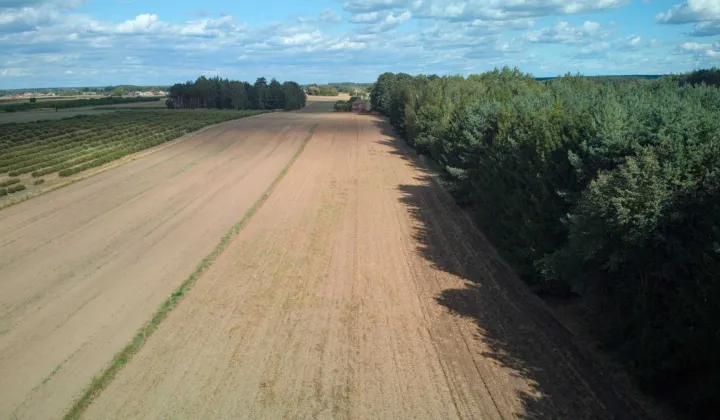 Działka Kalenice