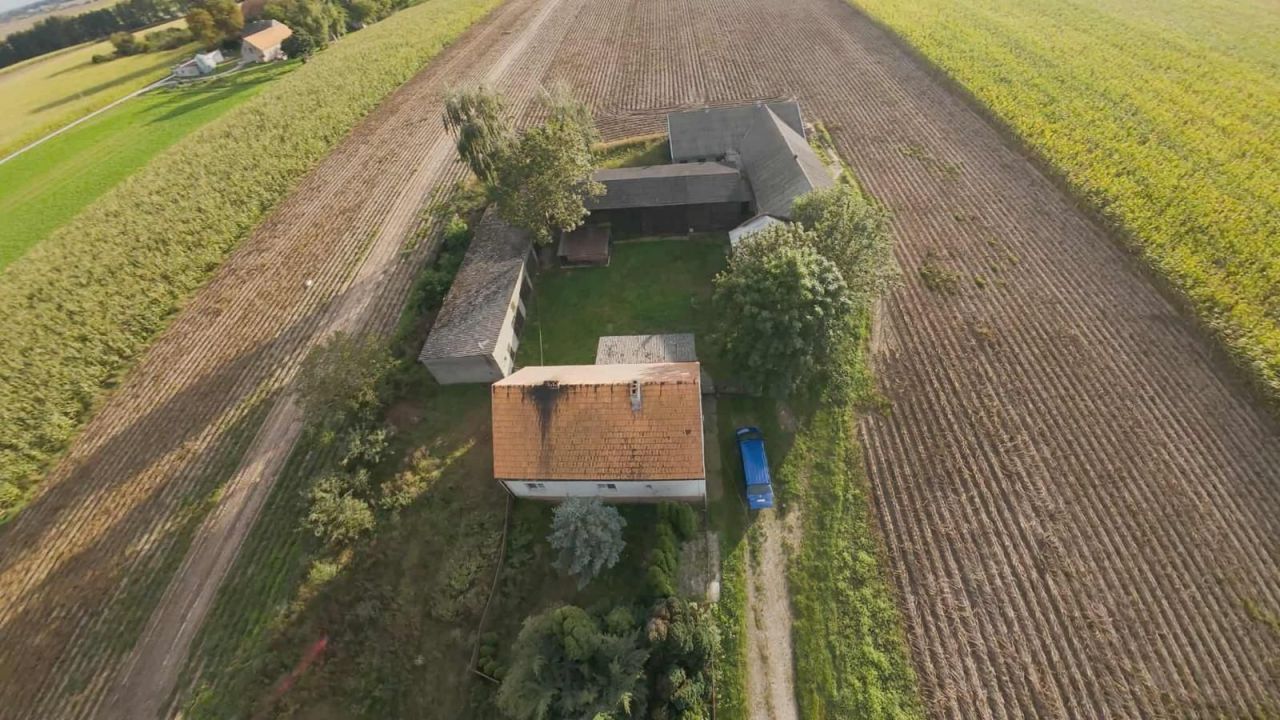 siedlisko Borek. Zdjęcie 8