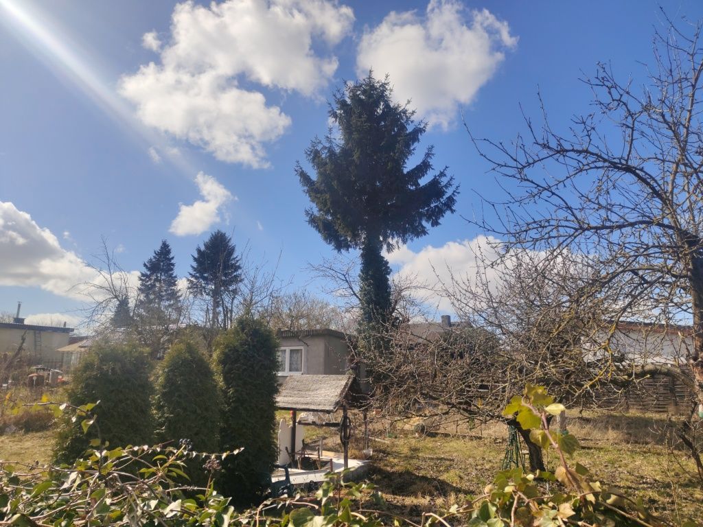 Działka rod Szczecin Świerczewo, ul. 26 Kwietnia. Zdjęcie 2