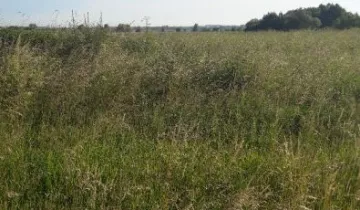 Działka na sprzedaż bez pośredników          
          
            Małuszów - Więcej