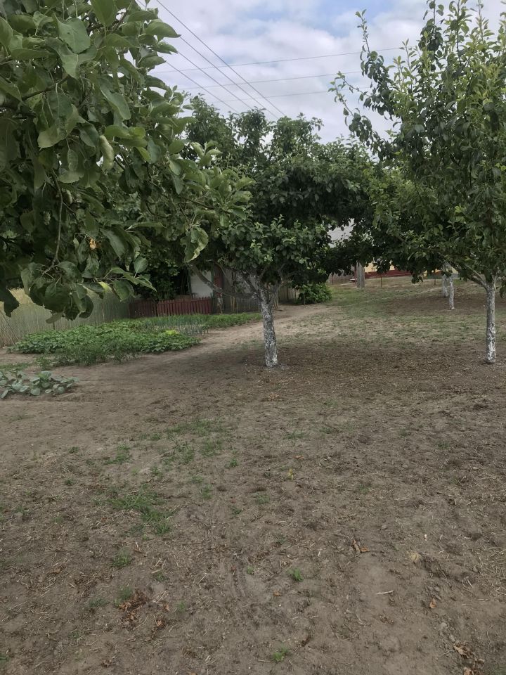 Działka budowlana Oksa, ul. Leśna. Zdjęcie 6