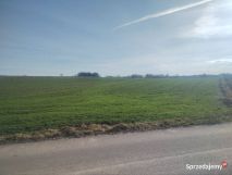 Działka rolna Prawęcin. Zdjęcie 1