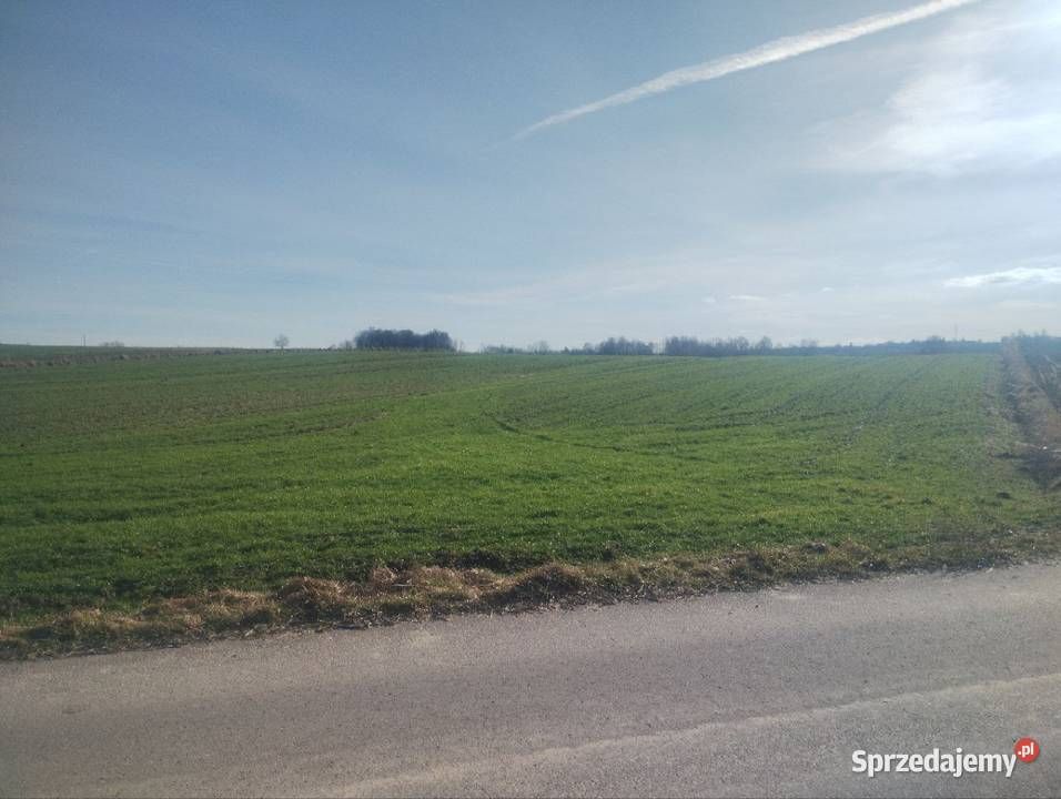 Działka rolna Prawęcin. Zdjęcie 2