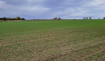 Działka rolno-budowlana Opatów, ul. Klepaczka