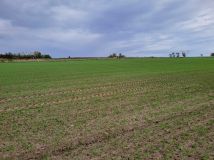 Działka rolno-budowlana Opatów, ul. Klepaczka. Zdjęcie 1