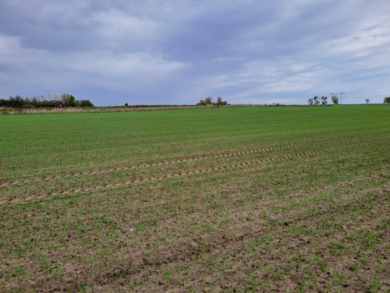 Działka rolno-budowlana Opatów, ul. Klepaczka. Zdjęcie 2