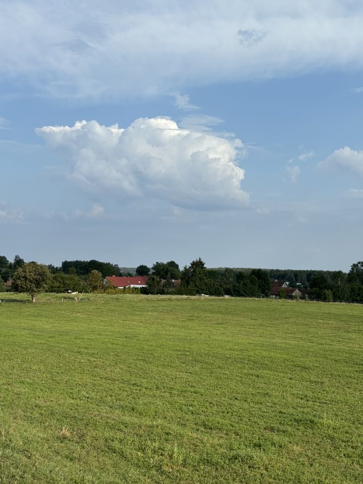 Działka rolna Kamionki. Zdjęcie 5