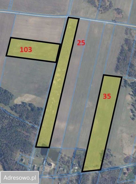 Działka rolna Cetyń. Zdjęcie 3