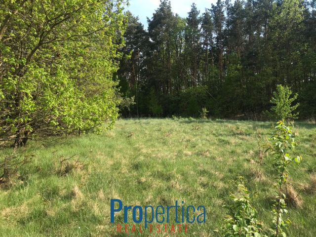 Działka budowlana Andrzejów. Zdjęcie 2