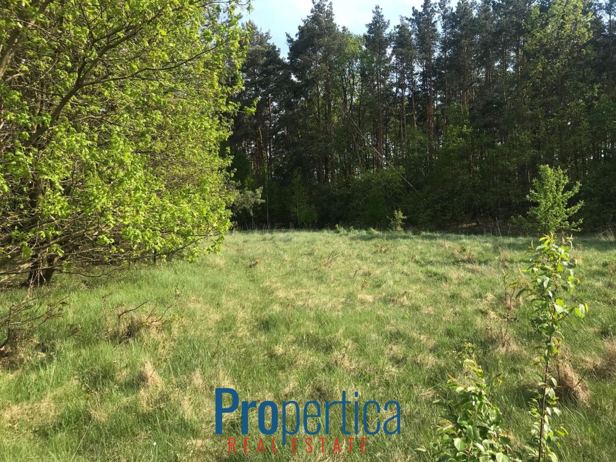 Działka budowlana Andrzejów. Zdjęcie 2