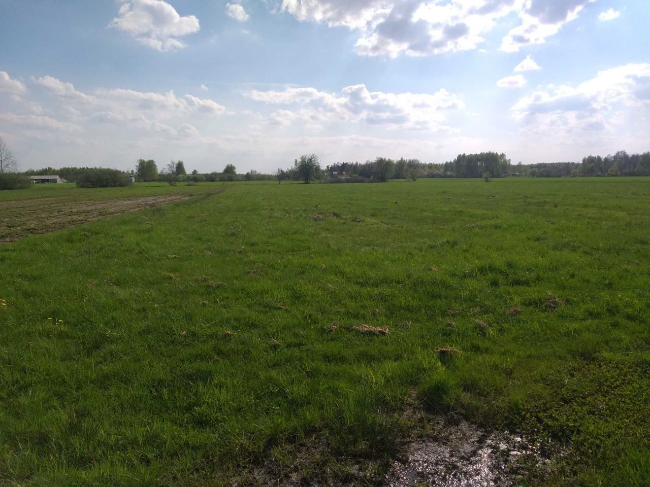 Działka budowlana Miejska Dąbrowa. Zdjęcie 2