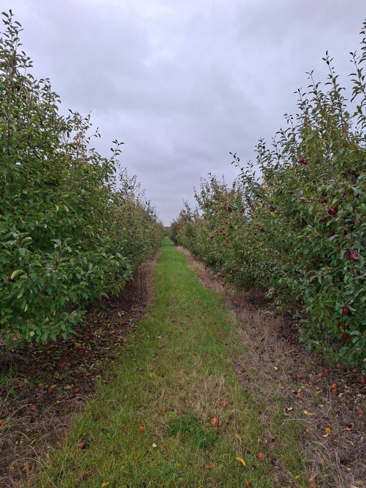 Działka rolna Kamionka. Zdjęcie 3