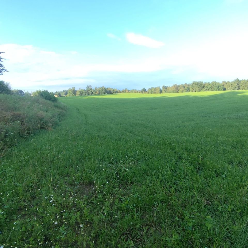 Działka rolno-budowlana Pieski. Zdjęcie 7