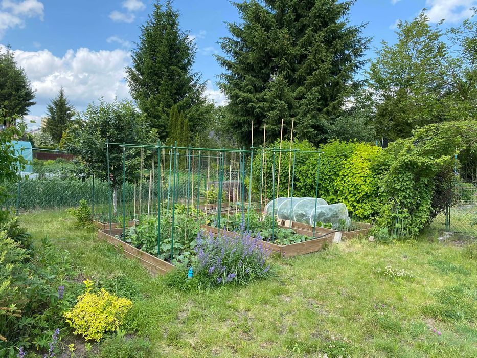 Działka rod Białystok Wygoda, ul. 42 Pułku Piechoty. Zdjęcie 6