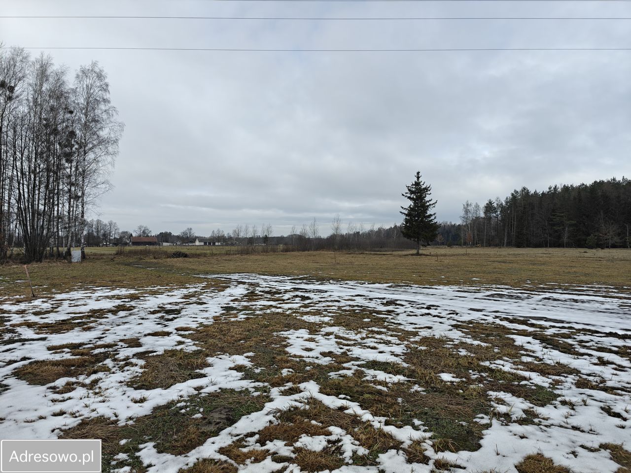 Działka rolno-budowlana Borki Rozowskie. Zdjęcie 3
