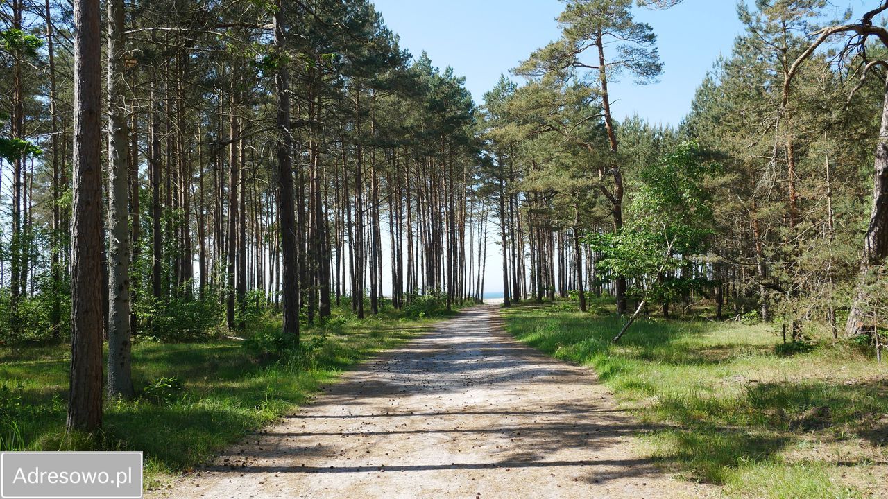 dom wolnostojący, 4 pokoje Jarosławiec, ul. Klonowa. Zdjęcie 5
