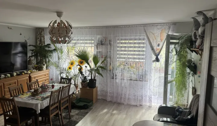 Mieszkanie 3-pokojowe Nysa, ul. Wandy Pawlik