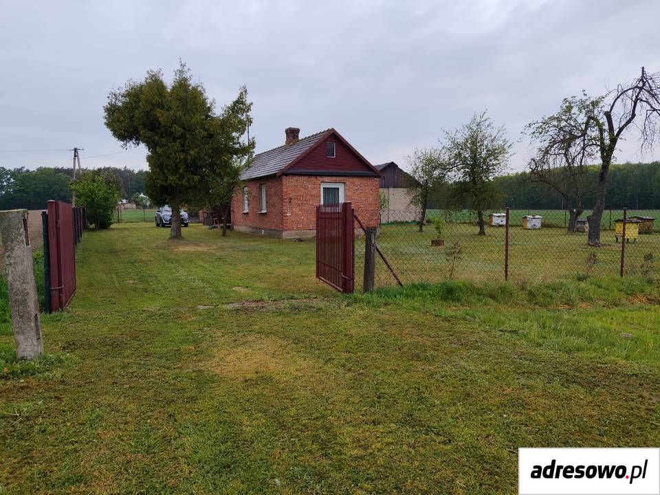 Działka siedliskowa Zieleniec. Zdjęcie 4