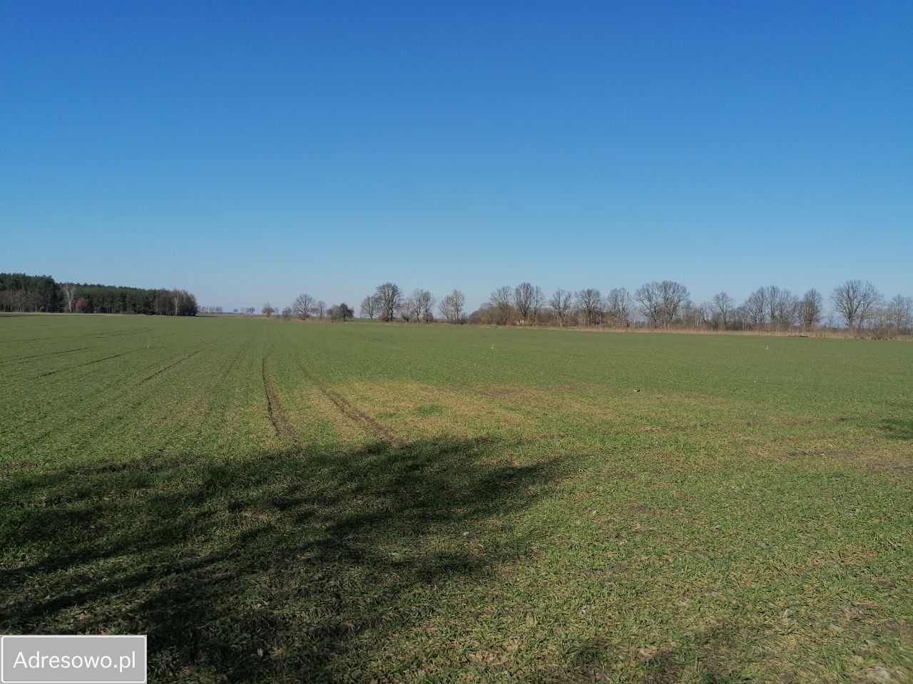 Działka budowlana Grudna. Zdjęcie 4