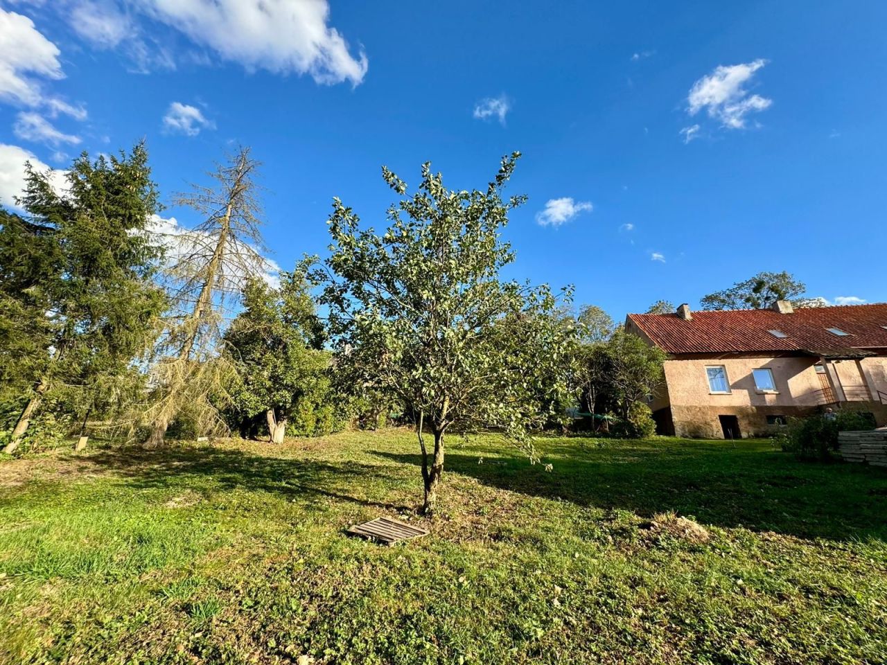 Działka budowlana Upałty. Zdjęcie 2