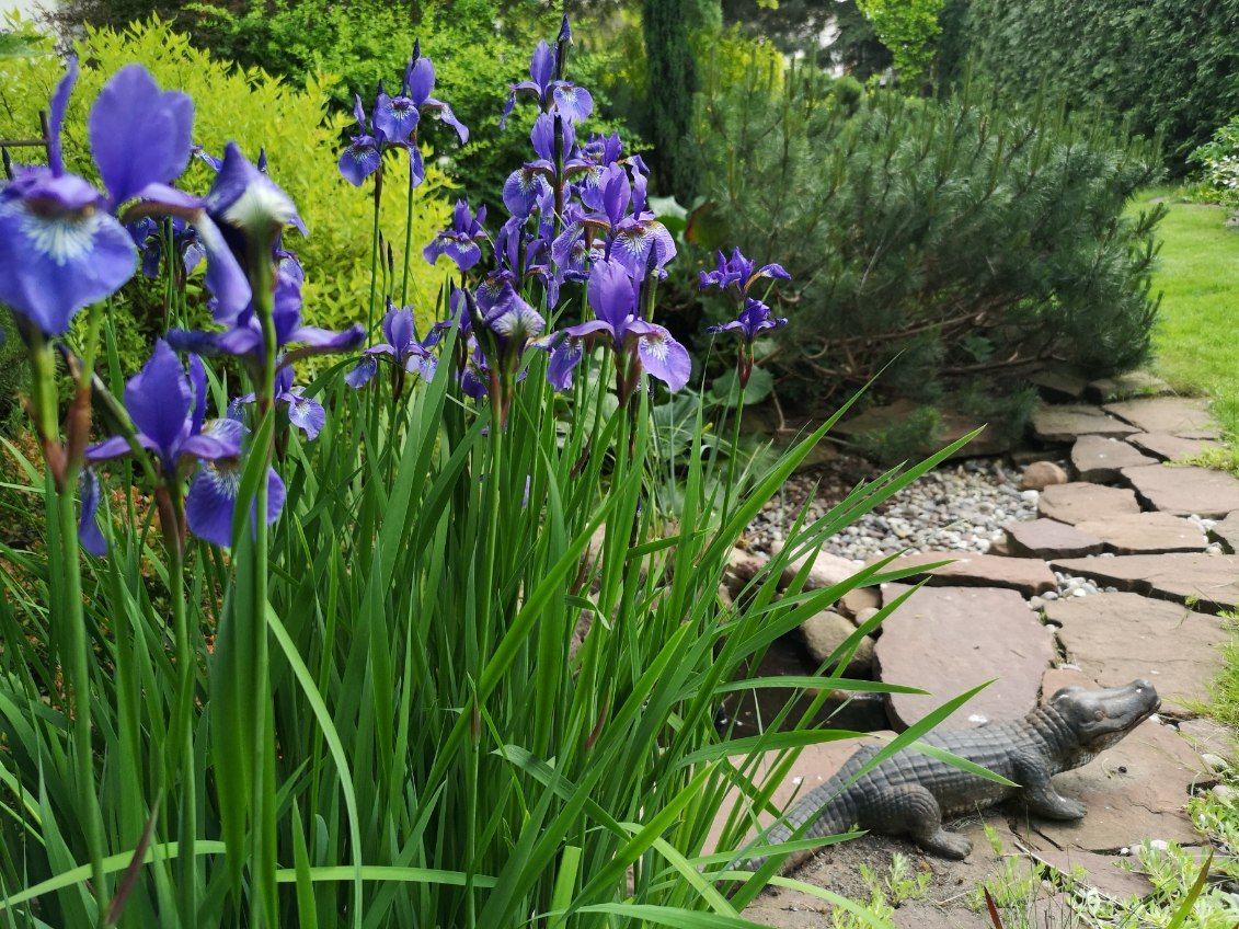 bliźniak, 6 pokoi Płońsk, ul. Wojska Polskiego. Zdjęcie 16
