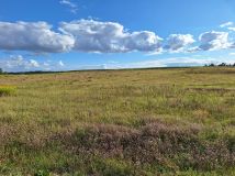 Działka rolno-budowlana Rożno-Parcele, ul. Konwaliowa. Zdjęcie 4