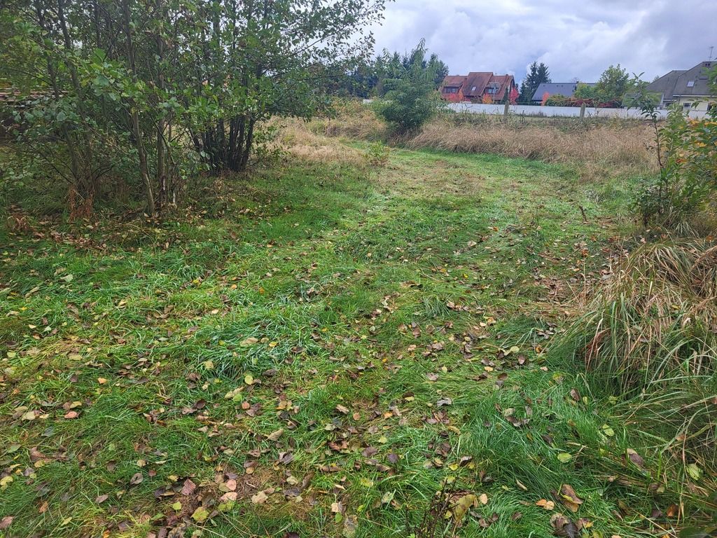 Działka Dobra. Zdjęcie 3